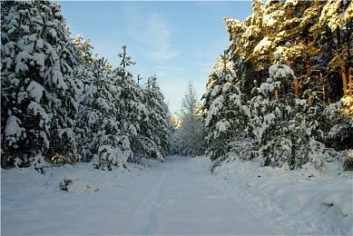 新一期夜城新声公布 《赛博朋克2077》1.3 版本前瞻