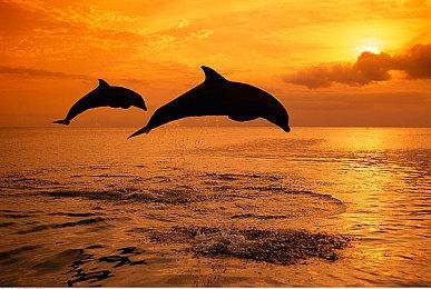 《最终幻想14》14周年活动14小时直播10月举办